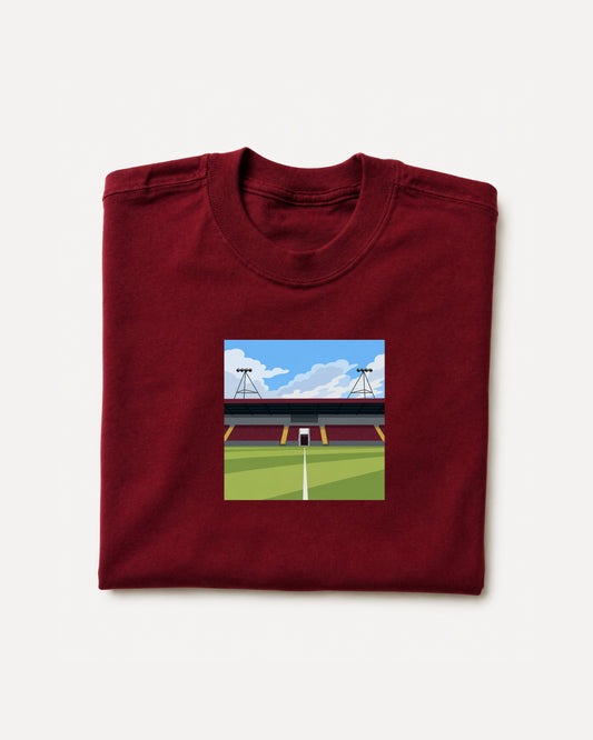 Stenhousemuir - Ochilview Park T-Shirt