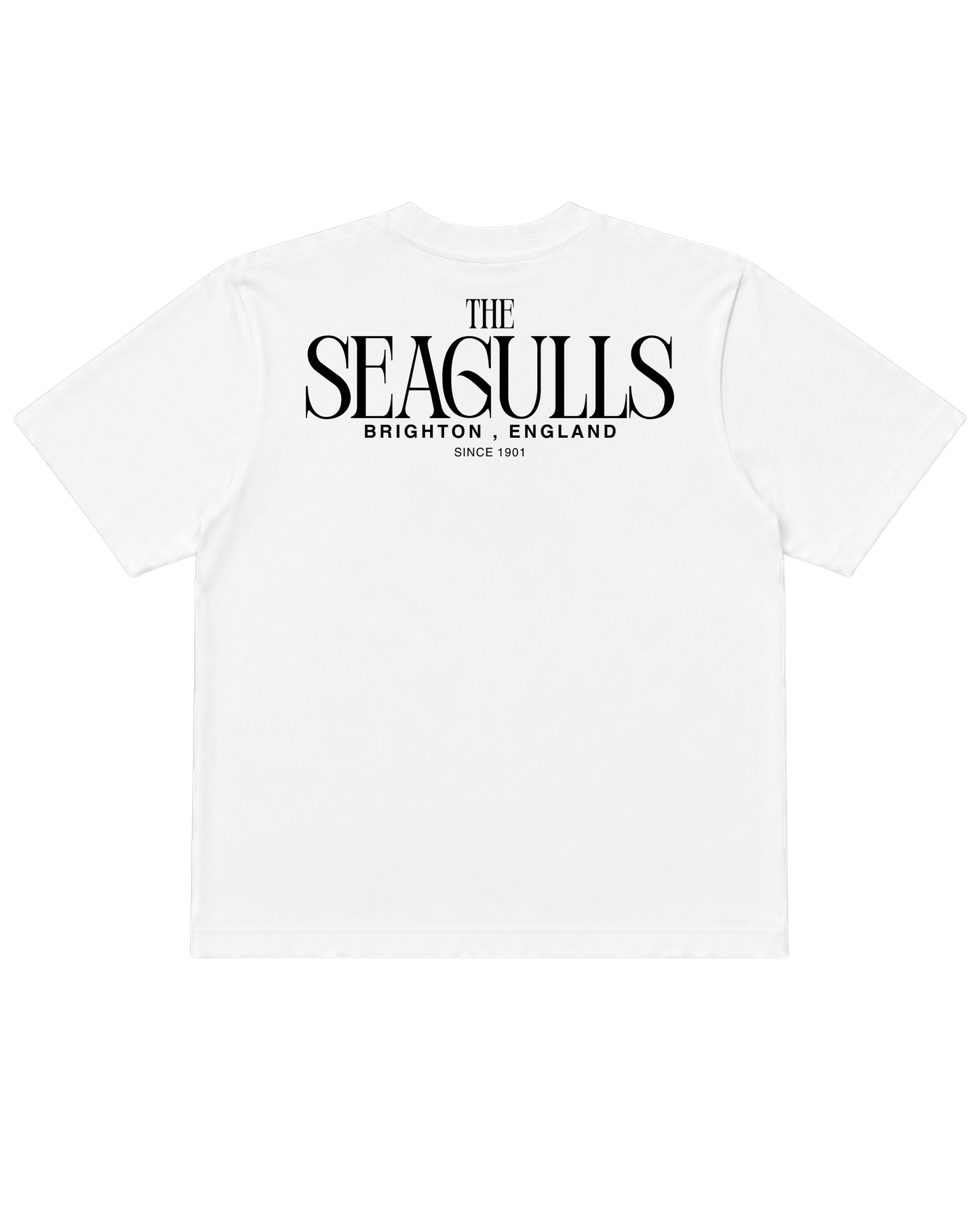 Brighton - The Seagulls T-Shirt