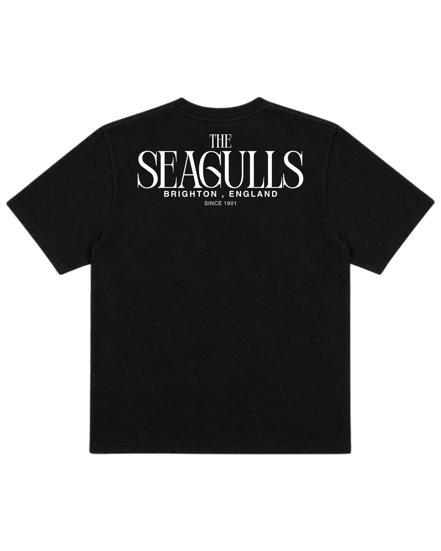 Brighton - The Seagulls T-Shirt