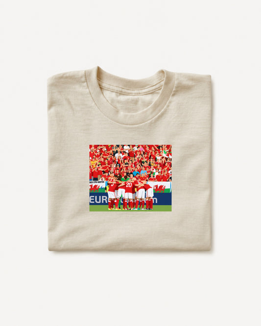 Wales - 2016 T-Shirt