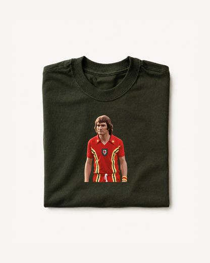 Wales - James T-Shirt