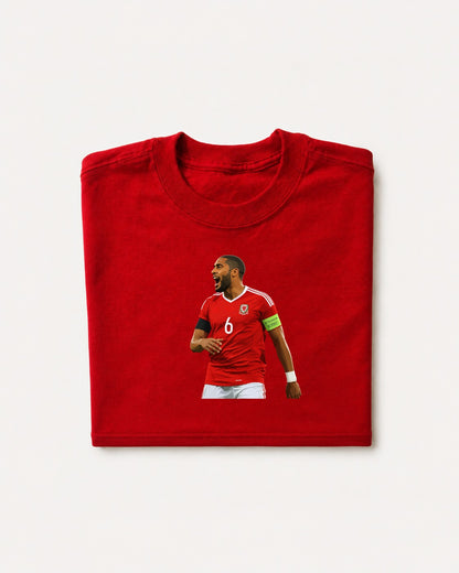 Wales - Williams T-Shirt