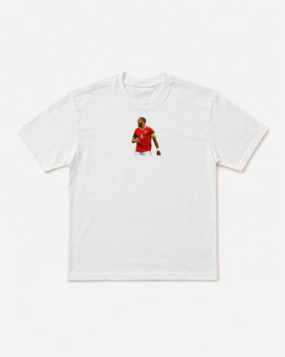 Wales - Williams T-Shirt